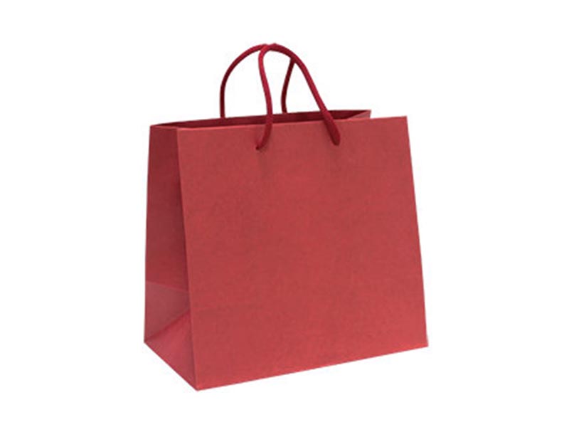 大3K-L手提紙袋-微醺紅